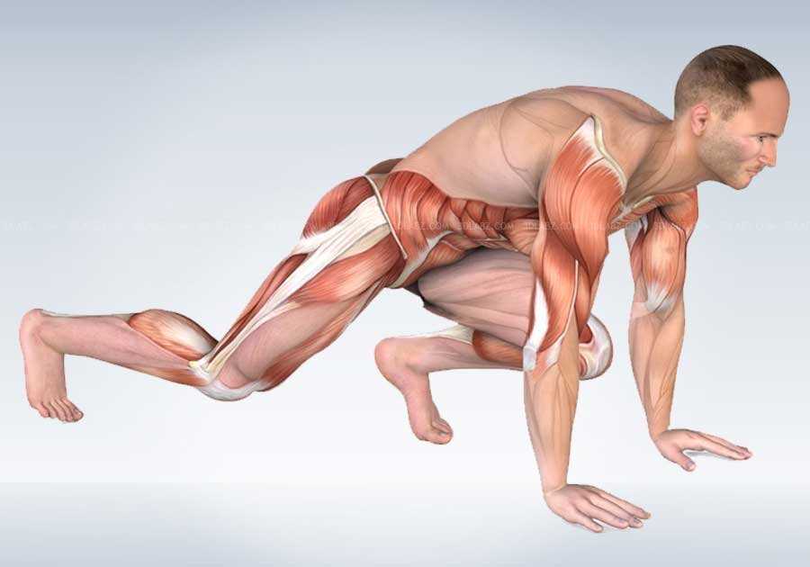 Core Training Anatomy