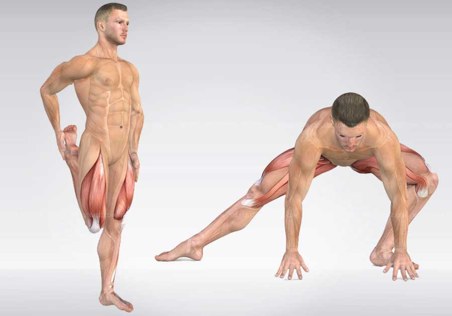 Anatomy of Exercises
