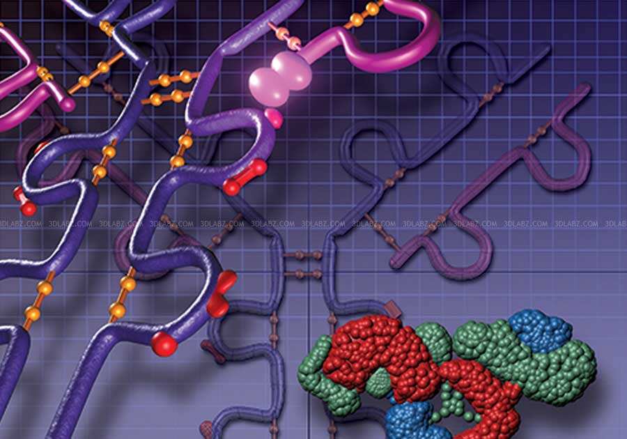 Antibody 3D illustration