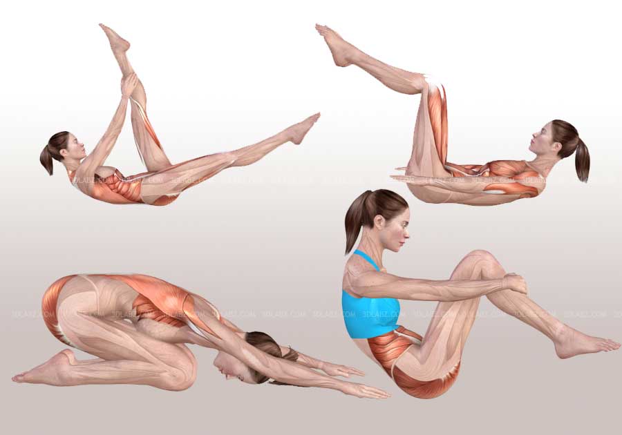 Pilates Exercise 3D Illustrations