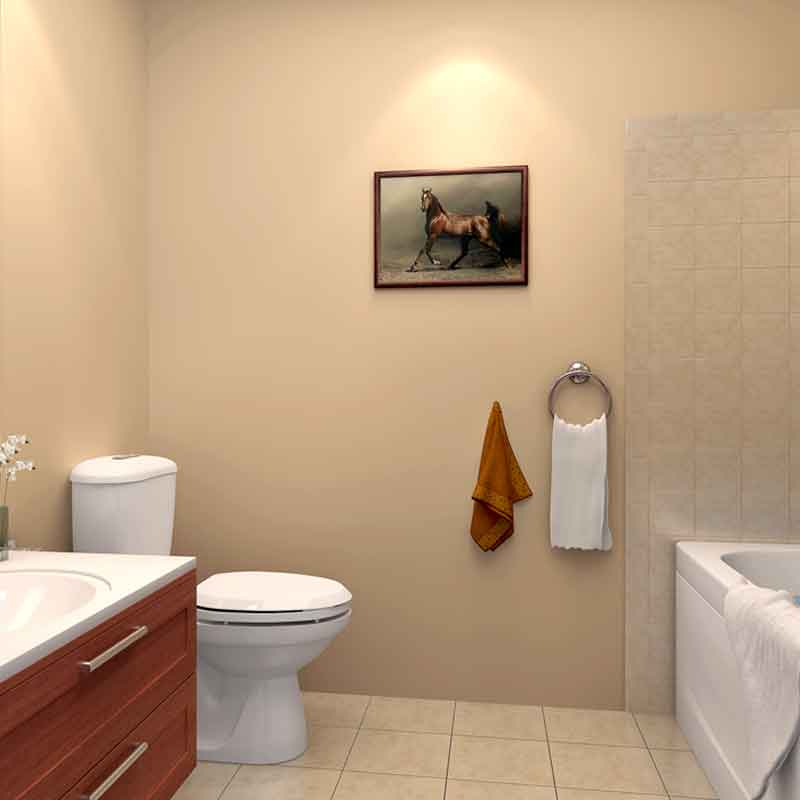 Home bathroom 3d design and rendering in Texas