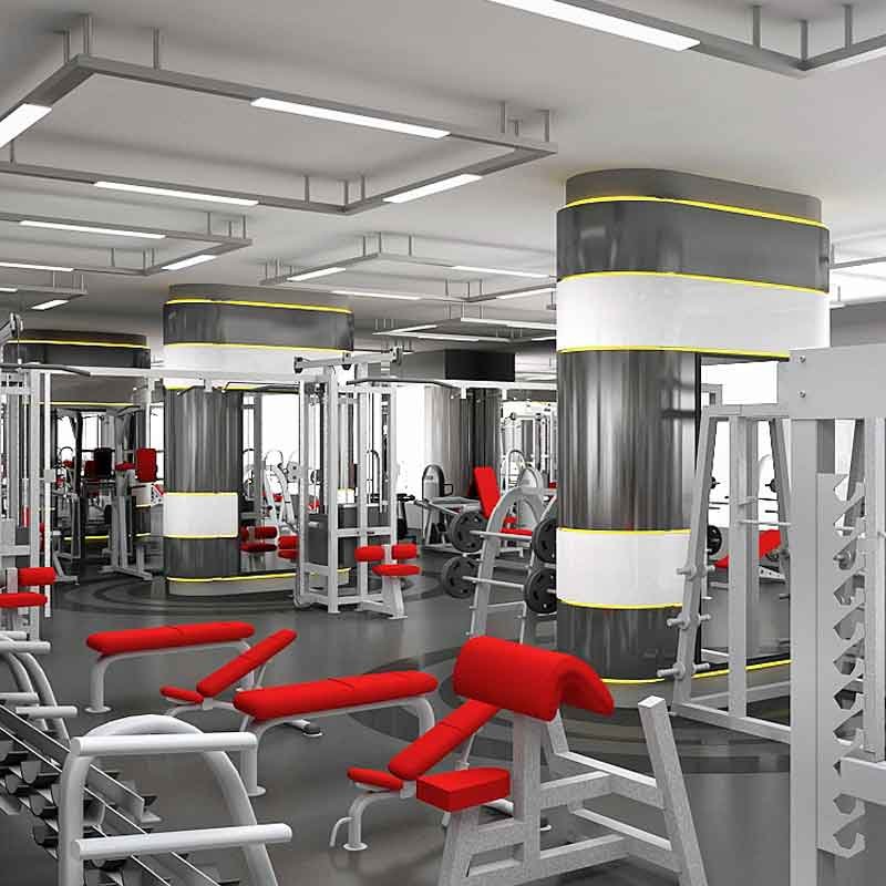 3d rendering for a strength area in a gym