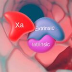 drug MOA 3D animation medical visualization for pharma and healthcare