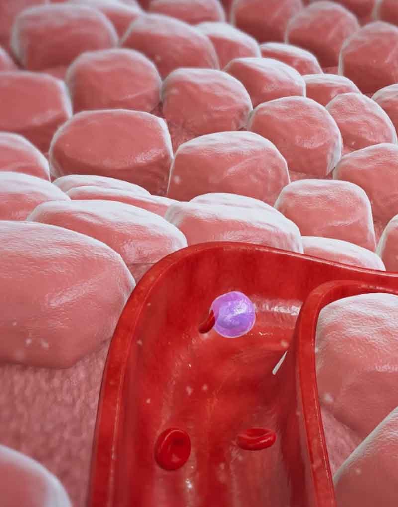A 3D render view of stem cell from a 3D medical animation