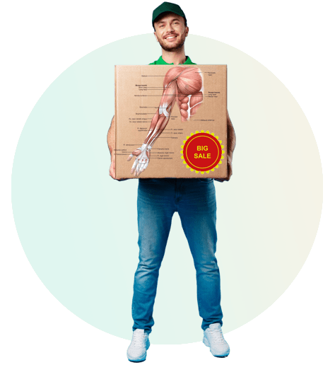 Anatomical illustration of the human muscular system showing the anterior view of arm muscles
