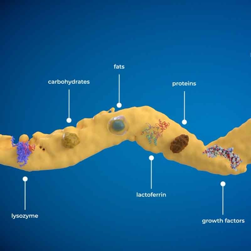 3D render image showing bovine colostrum with various components