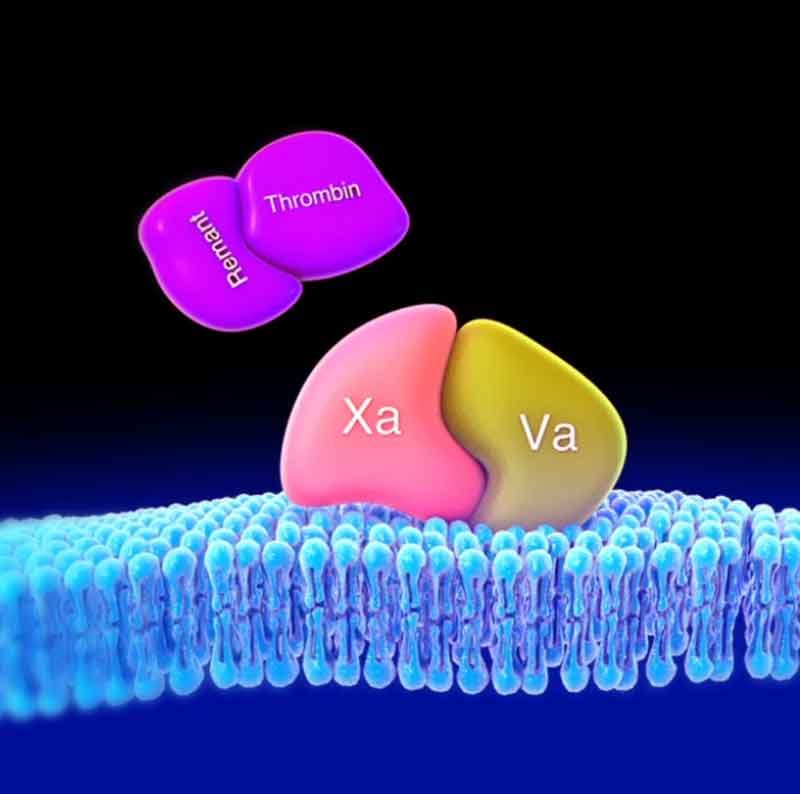 3D render image showing drug mechanism of action
