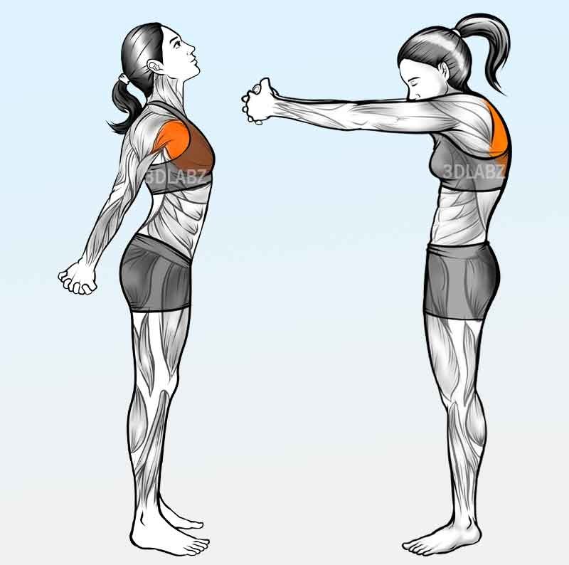 A hand drawn sketch showing exercise anatomy
