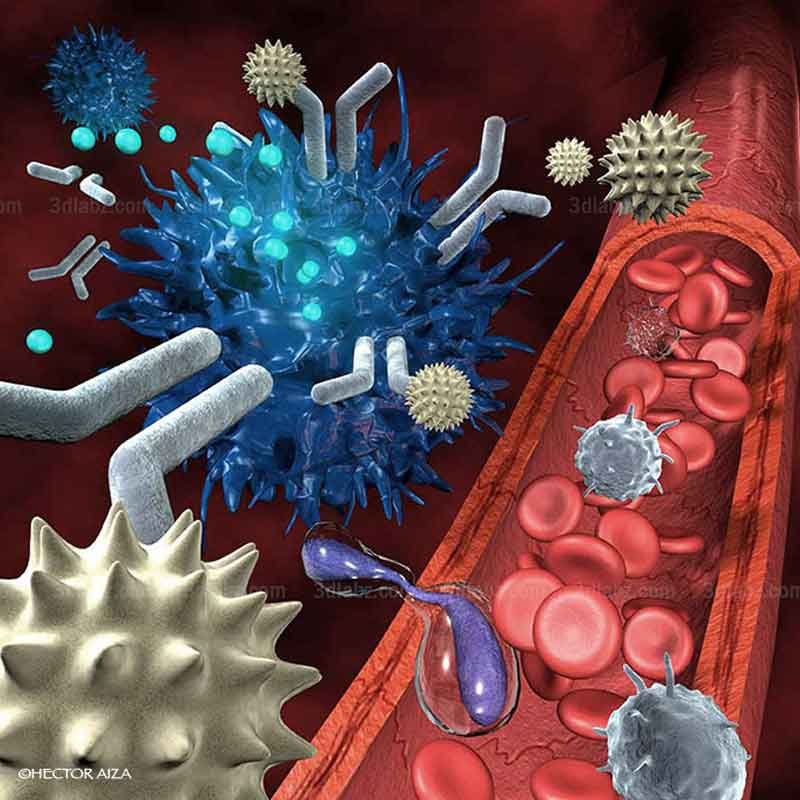 A 3D model render image showing inflamatory response