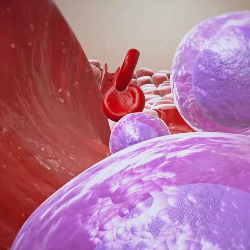 3D image showing stem cells and intercellular communication