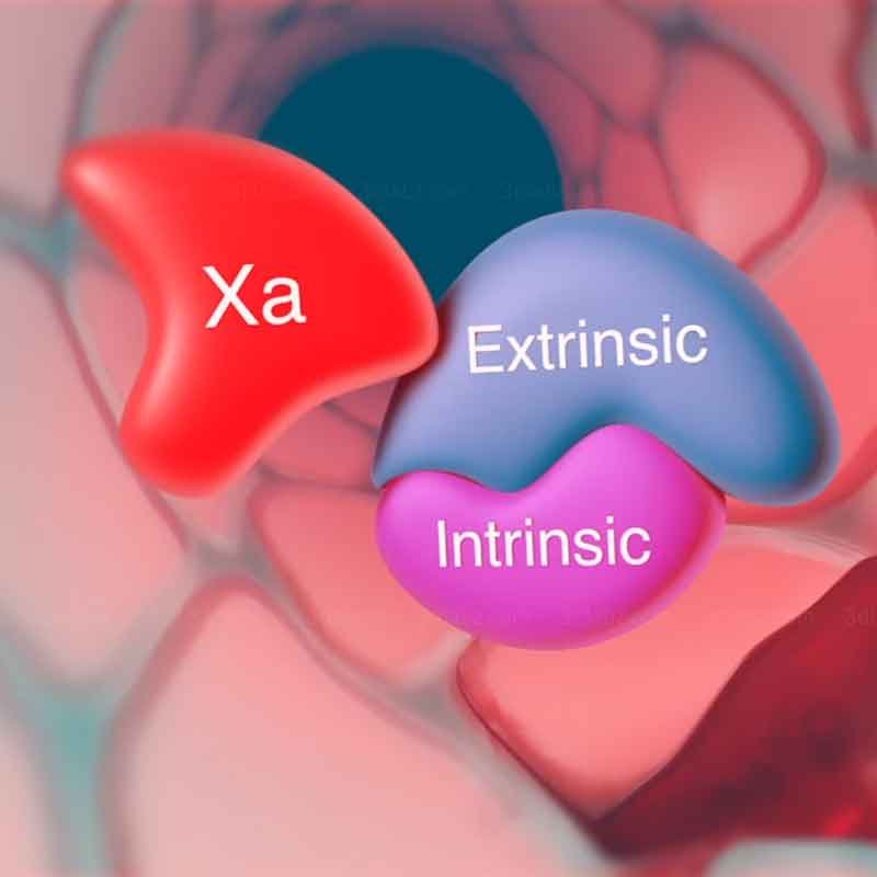 A 3D Illustration showing drug mechanism of action in the body