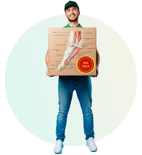 Anatomical illustration of the human muscular system showing the medial view of foot