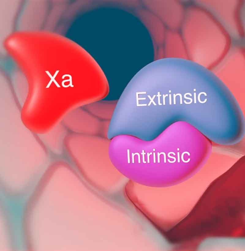 A still render from moa medical animation
