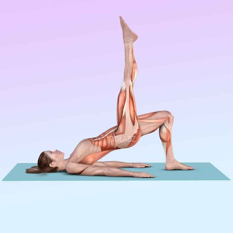 Exercise anatomy illustration showing a pilates workout