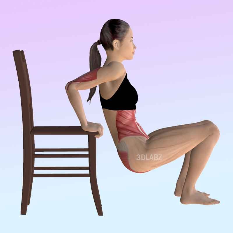3D rendered image showing exercise anatomy for stability exercise