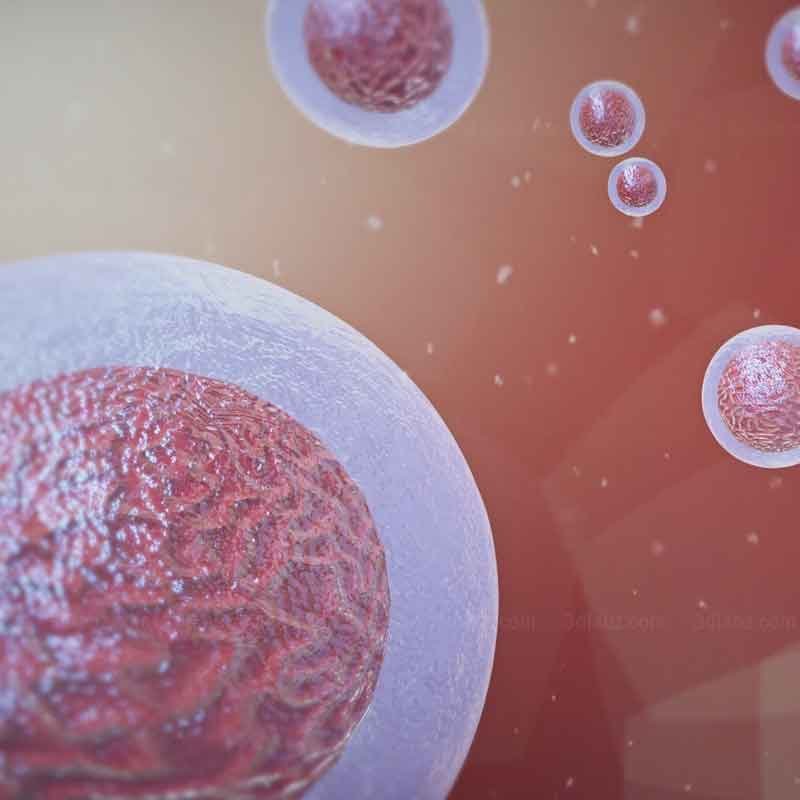 A medical 3d render image intercell communication
