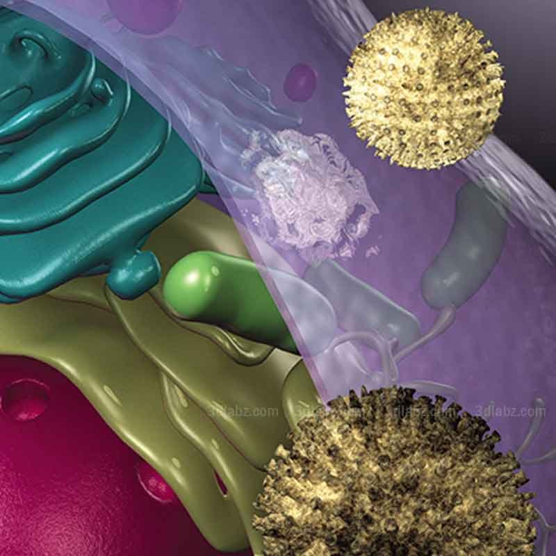 A 3D medical illustration showing virus infection
