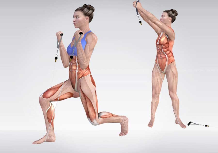 Anatomy of Exercises