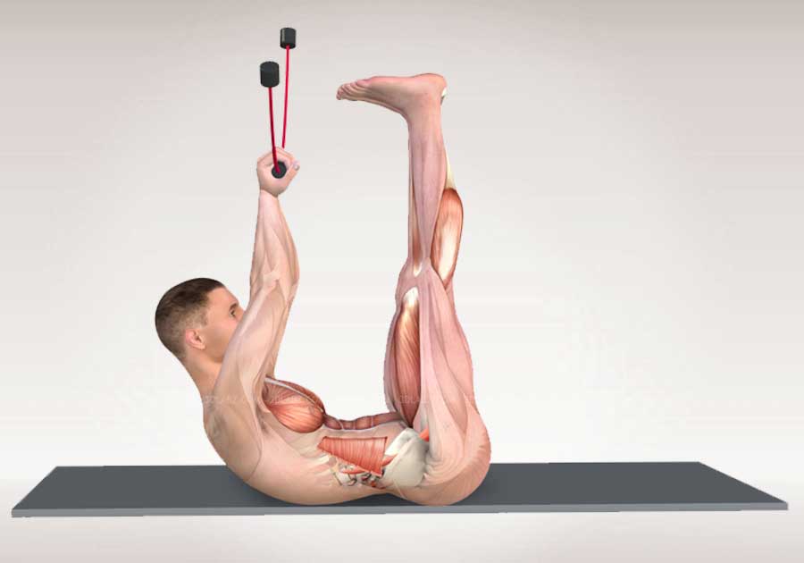Flexi-bar Anatomie 3D
