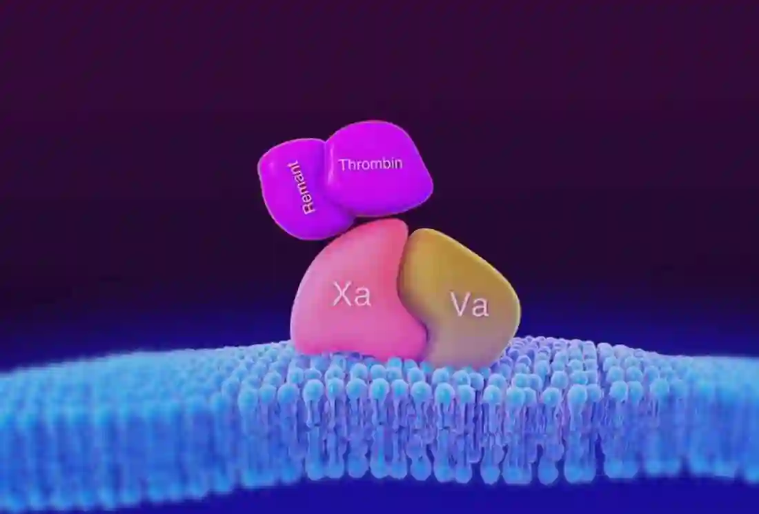 Medical MOA animation frame illustrating how the drug reacts within the human body.