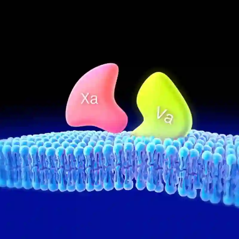Mechanism of action animation render depicting how medication interacts within the body.